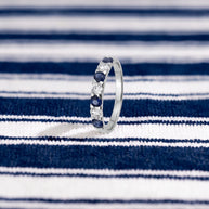Anillo Azul de la Costa