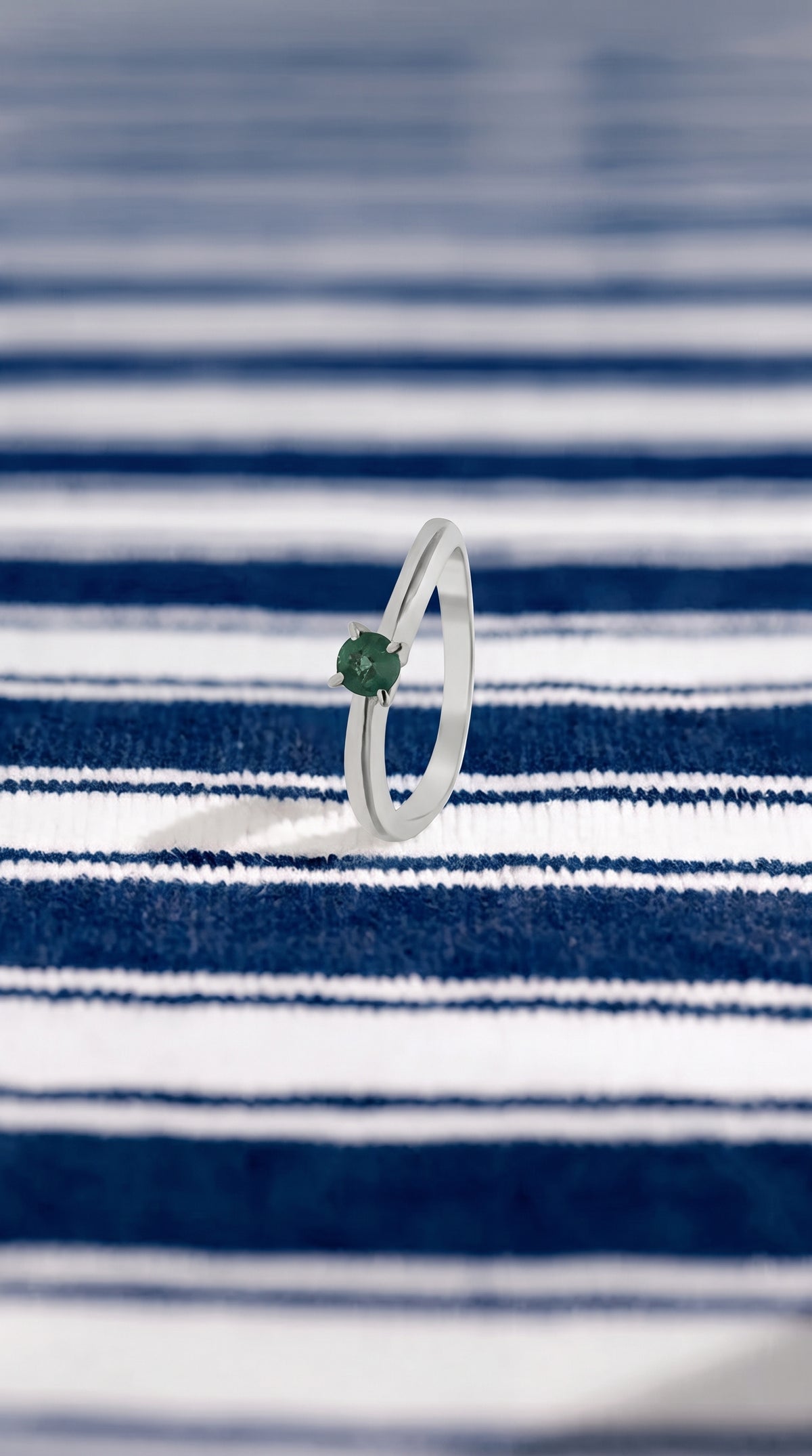 Anillo Verde de Posidonia