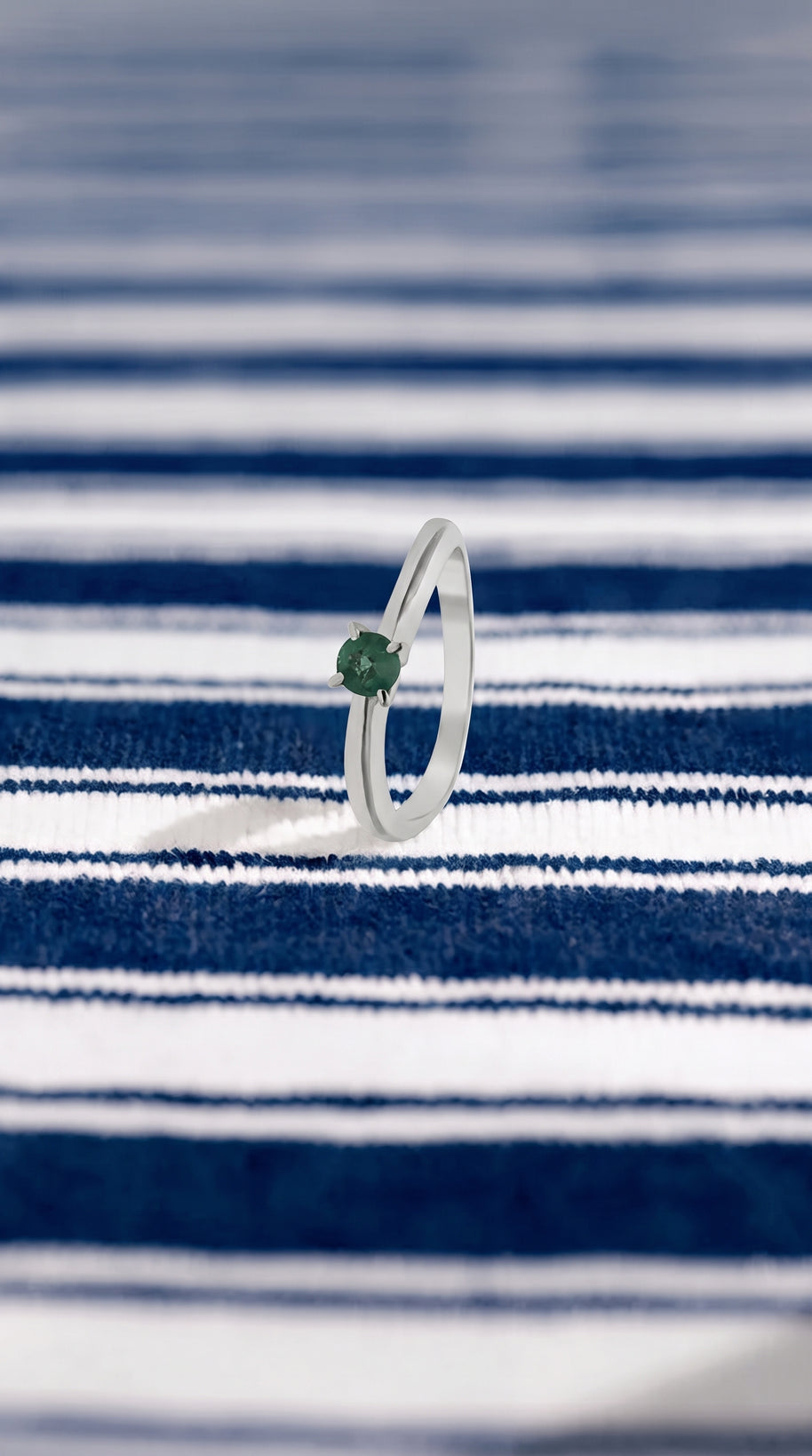 Anillo Verde de Posidonia