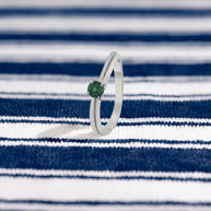 Anillo Verde de Posidonia