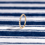 Anillo Media Alianza