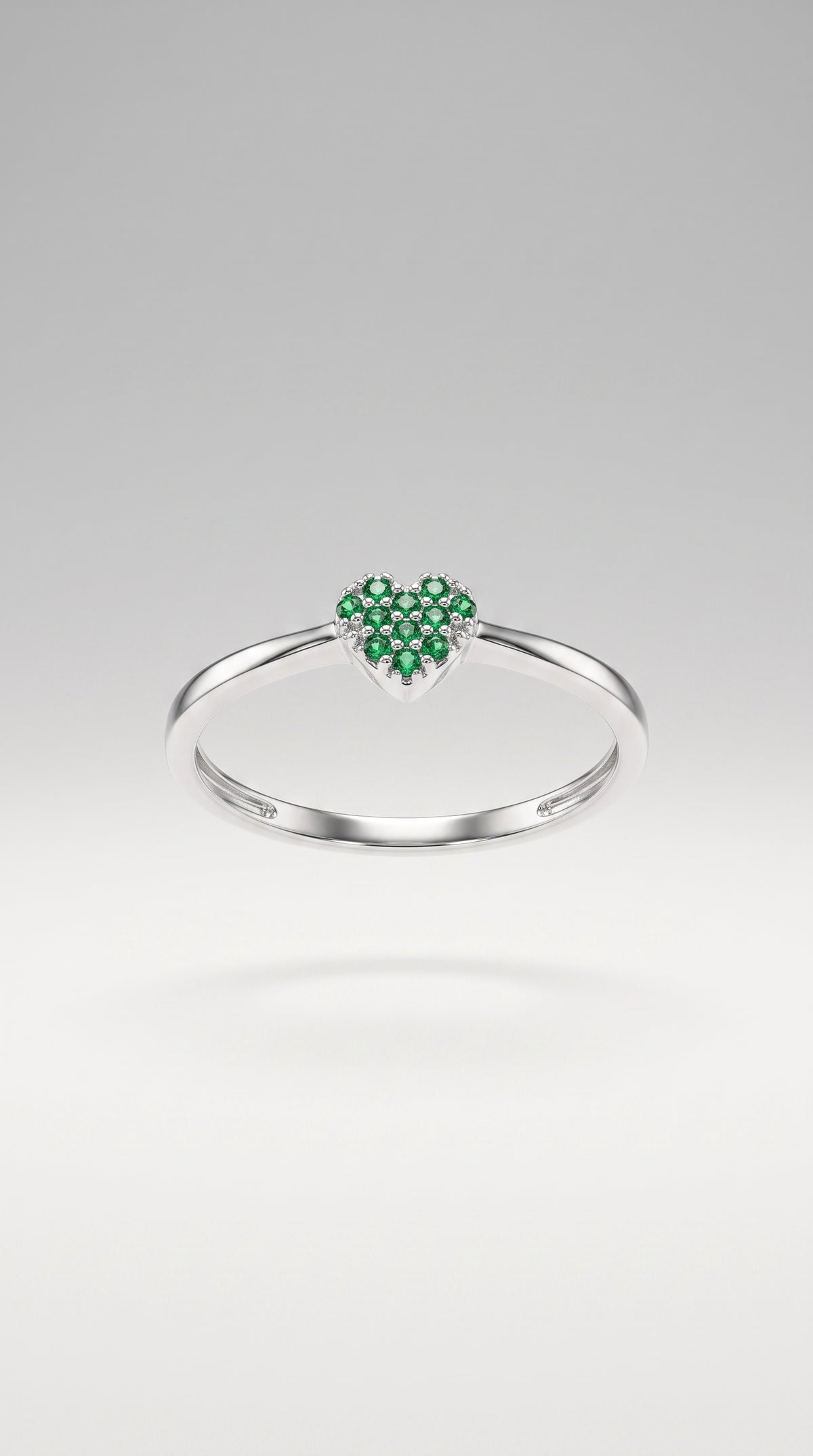 Anillo Posidonia