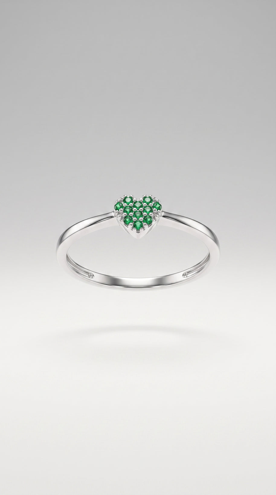 Anillo Posidonia