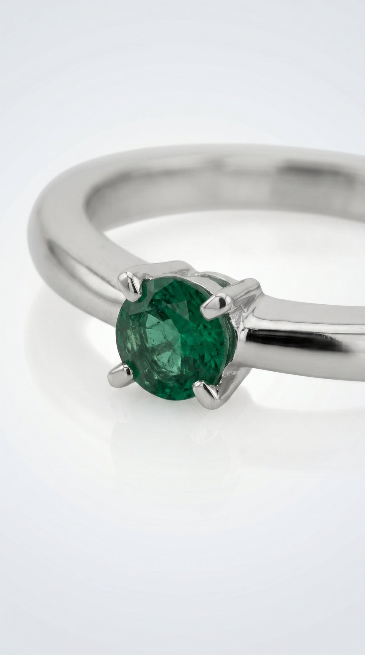 Anillo Verde de Posidonia