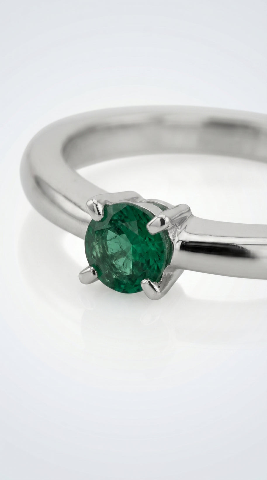 Anillo Verde de Posidonia