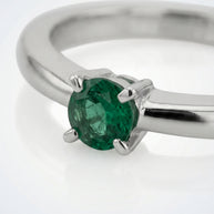 Anillo Verde de Posidonia