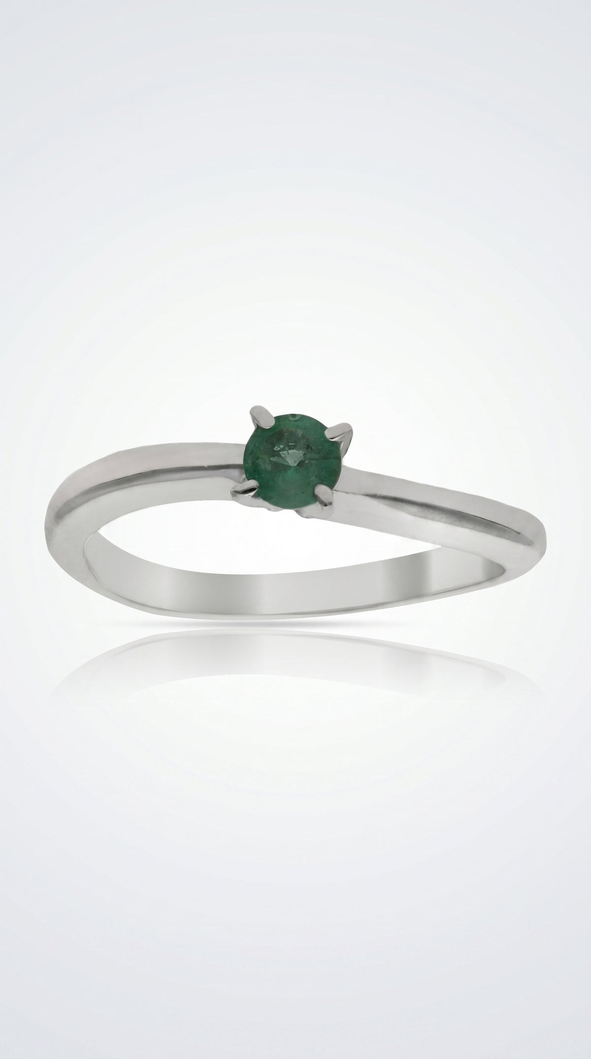 Anillo Verde de Posidonia