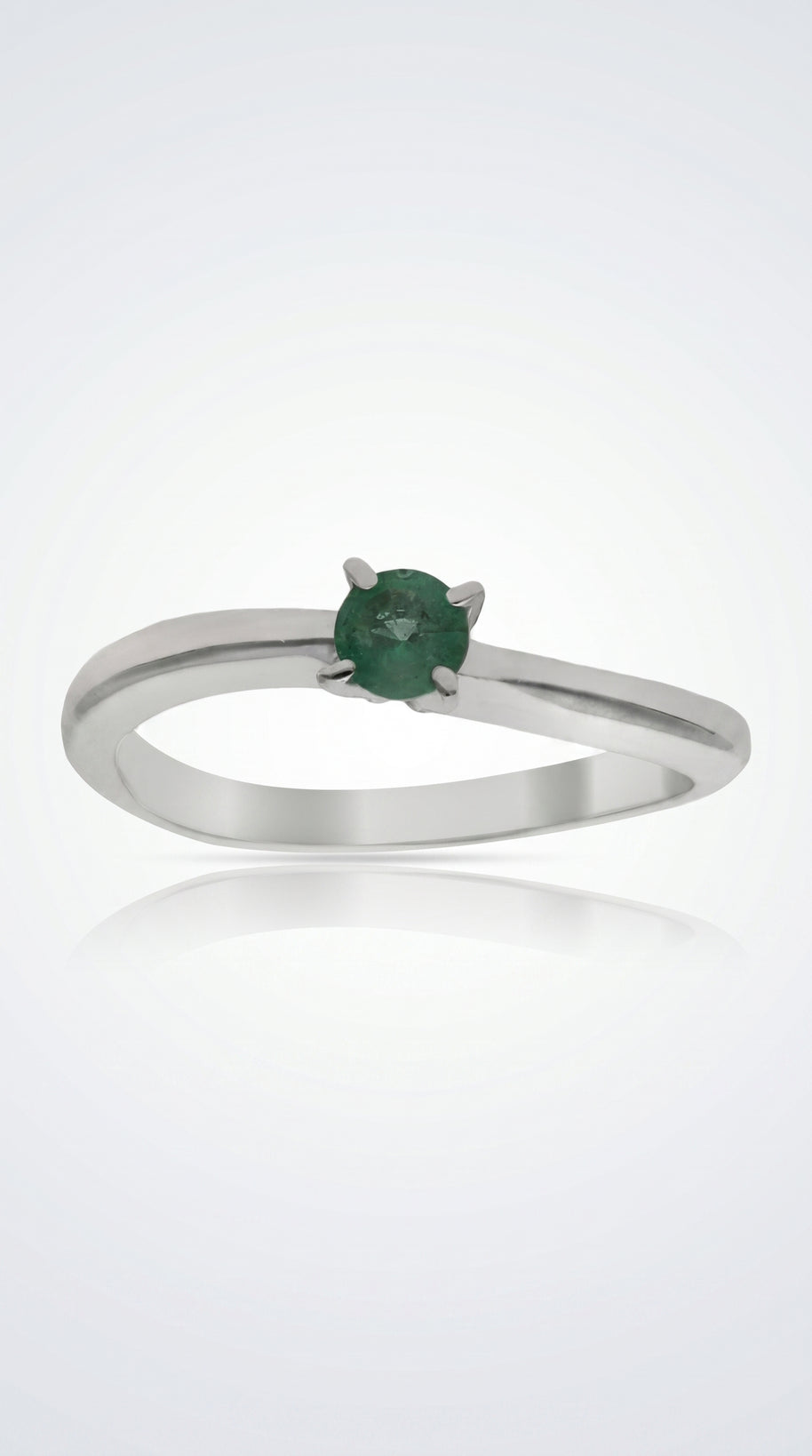 Anillo Verde de Posidonia
