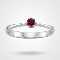 Anillo Rubí de Poniente