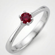 Anillo Rubí de Poniente