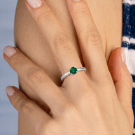 Anillo Verde de Posidonia