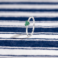 Anillo Posidonia