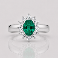 Anillo Esmeralda de Marbella